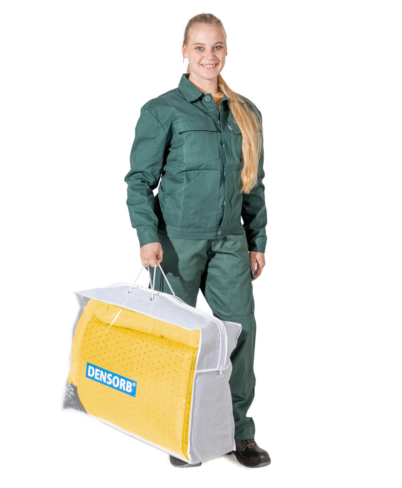 DENSORB emergency spill kit, in transparent carry case, Special version, 76 l
